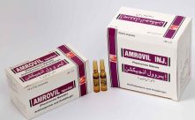 Amrovil Injection 2ml 100's